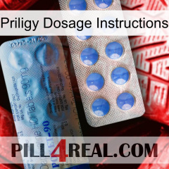 Priligy Dosage Instructions 40